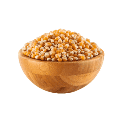 ذرة بوشار الريحان