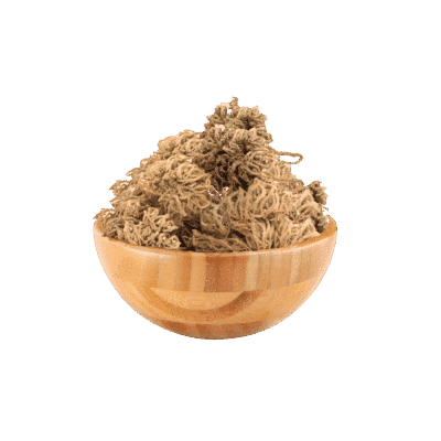 Rayhan Rose of Jericho Herb